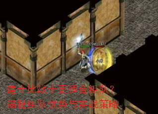 ��ʿ��սʿ���ʺ���ӣ��������������ʵս����