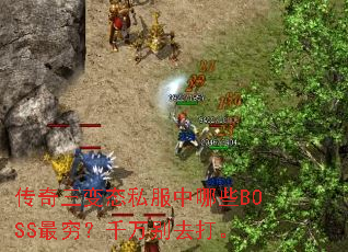 ��������̬˽������ЩBOSS���ǧ���ȥ��