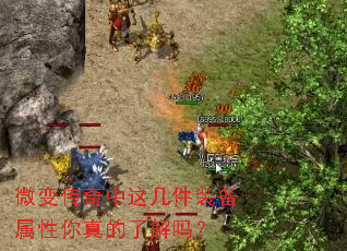 ΢�䴫�����⼸��װ������������˽���