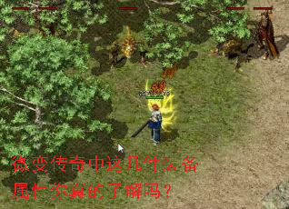 ΢�䴫�����⼸��װ������������˽���