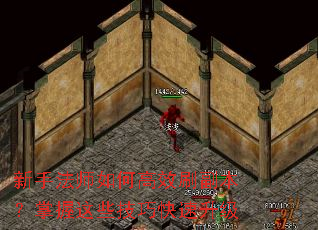 ���ַ�ʦ��θ�Чˢ������������Щ���ɿ�������