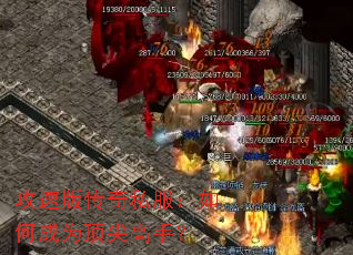 ���ٰ洫��˽������γ�Ϊ������֣�