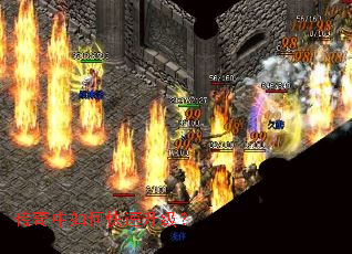 ��������ο���������