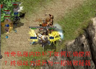 ����˽���ڹ����������ȷʹ�ã��ռ�ս��������һ���Ƶ��ؼ�