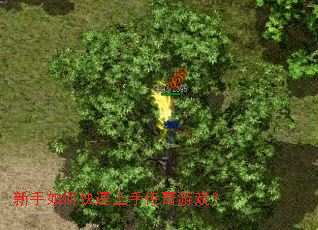 ������ο������ִ�����Ϸ��