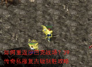 ����ط�ɳ�Ϳ�ս����39����˽�����Ű���ʤ����