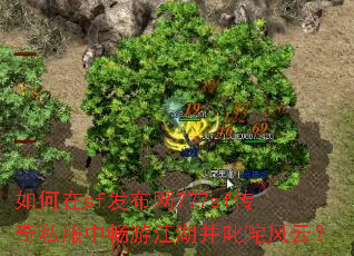 �����sf������777sf����˽���г��ν�����߳����ƣ�