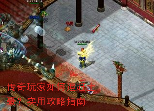 ����������׷��������ʵ�ù���ָ��