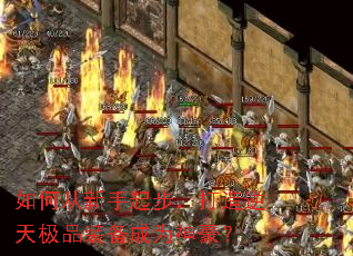 ��δ������𲽣��������켫Ʒװ����Ϊ�����