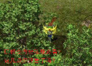 ����䴫��˽���ؿ����⼸����ע������