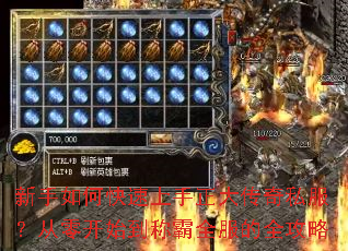 ������ο�������������˽�������㿪ʼ���ư�ȫ����ȫ����