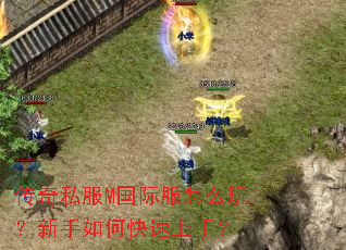 ����˽��M���ʷ���ô�棿������ο������֣�