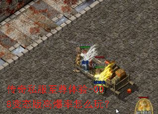 ����˽����������-008��̬��߱�����ô�棿