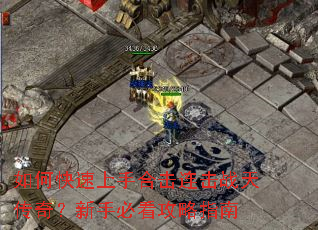 ��ο������ֺϻ�����ս�촫�棿���ֱؿ�����ָ��