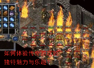 ������鴫����Ϸ�Ķ�����������Ȥ��
