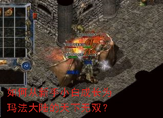 ��δ�����С�׳ɳ�Ϊ�귨��½��������˫��