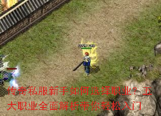 传奇私服新手如何选择职业?五大职业全面解析带你轻松入门 传奇私服新手如何选择职业?五大职业全面解析带你轻松入门