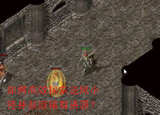 如何高效探索逆风小径并获取稀有资源? 如何高效探索逆风小径并获取稀有资源?