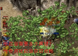 带勋章需要多少声望?传奇游戏勋章获取攻略 带勋章需要多少声望?传奇游戏勋章获取攻略