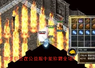 哪个职业在公益服中能称霸全场? 哪个职业在公益服中能称霸全场?
