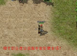 哪个职业在公益服中能称霸全场? 哪个职业在公益服中能称霸全场?