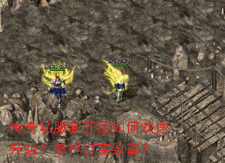 传奇私服新开区如何快速升级?怎样打宝致富? 传奇私服新开区如何快速升级?怎样打宝致富?