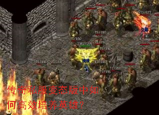 传奇私服变态版中如何高效培养英雄? 传奇私服变态版中如何高效培养英雄?