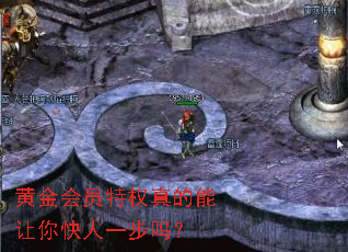 黄金会员特权真的能让你快人一步吗? 黄金会员特权真的能让你快人一步吗?