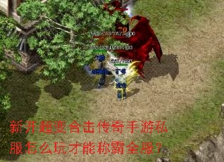 �¿�����ϻ���������˽����ô����ܳư�ȫ����