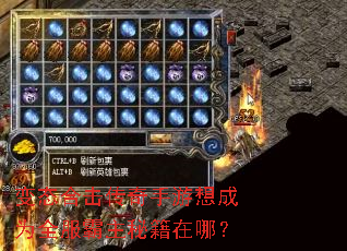 变态合击传奇手游想成为全服霸主秘籍在哪? 变态合击传奇手游想成为全服霸主秘籍在哪?