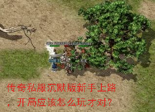 传奇私服沉默版新手上路,开局应该怎么玩才对? 传奇私服沉默版新手上路,开局应该怎么玩才对?