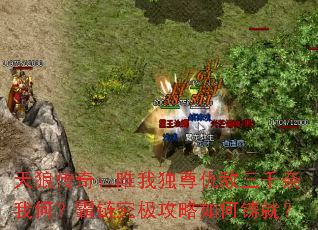 ���Ǵ��棺Ψ�Ҷ�������ǧ���ҺΣ�������������������ͣ�
