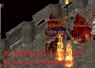 �¿�����˽���б䴫���·���������ô����ܳư�ȫ����