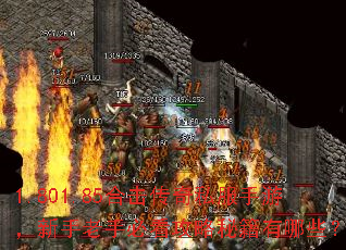 1.801.85合击传奇私服手游,新手老手必看攻略秘籍有哪些? 1.801.85合击传奇私服手游,新手老手必看攻略秘籍有哪些?
