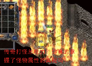 传奇打怪总吃力?你真的掌握了怪物属性的奥秘吗? 传奇打怪总吃力?你真的掌握了怪物属性的奥秘吗?