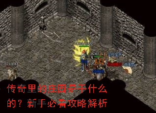 传奇里的庄园是干什么的?新手必看攻略解析 传奇里的庄园是干什么的?新手必看攻略解析