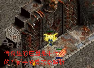传奇里的庄园是干什么的?新手必看攻略解析 传奇里的庄园是干什么的?新手必看攻略解析