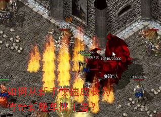 如何从新手快速成长为传奇新服单挑王者? 如何从新手快速成长为传奇新服单挑王者?