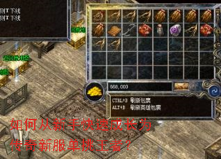 如何从新手快速成长为传奇新服单挑王者? 如何从新手快速成长为传奇新服单挑王者?