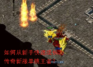 如何从新手快速成长为传奇新服单挑王者? 如何从新手快速成长为传奇新服单挑王者?
