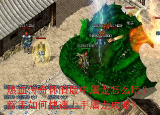 热血传奇怀旧版中屠龙怎么玩?新手如何快速上手屠龙攻略? 热血传奇怀旧版中屠龙怎么玩?新手如何快速上手屠龙攻略?