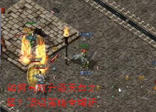 如何高效升级天尊之盾?顶级策略全解析 如何高效升级天尊之盾?顶级策略全解析