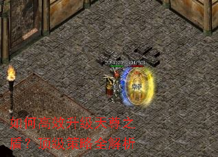 如何高效升级天尊之盾?顶级策略全解析 如何高效升级天尊之盾?顶级策略全解析
