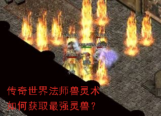 传奇世界法师兽灵术如何获取最强灵兽? 传奇世界法师兽灵术如何获取最强灵兽?