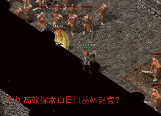 如何高效探索白日门丛林迷宫? 如何高效探索白日门丛林迷宫?