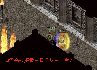 如何高效探索白日门丛林迷宫? 如何高效探索白日门丛林迷宫?
