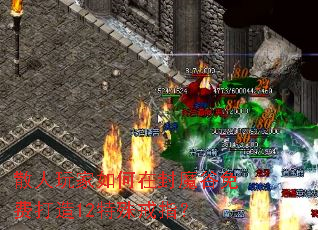 ɢ���������ڷ�ħ����Ѵ���12�����ָ��