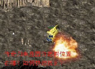 传奇归来庄园许愿树位置在哪?如何快速找到? 传奇归来庄园许愿树位置在哪?如何快速找到?