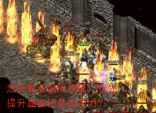 ��ʦְҵ��չ������������Ѫ�����ǹ�������