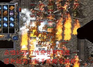 �����Ԫ37������ο�������ս�������ֹ���ȫ����